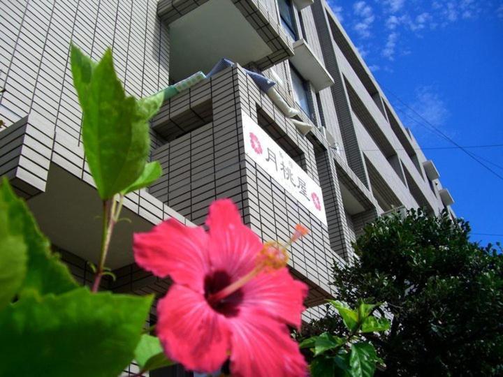 Shimayado Gettoya Ishigaki  Dış mekan fotoğraf
